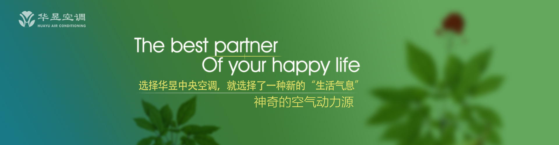 福寿康宁网